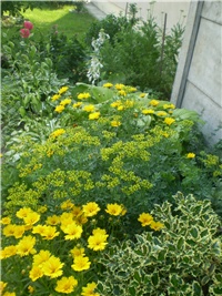 d0ef3f0b-Picture 5999.jpg